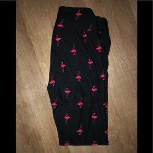 NWOT LuLaRoe Flamingo OS Leggings